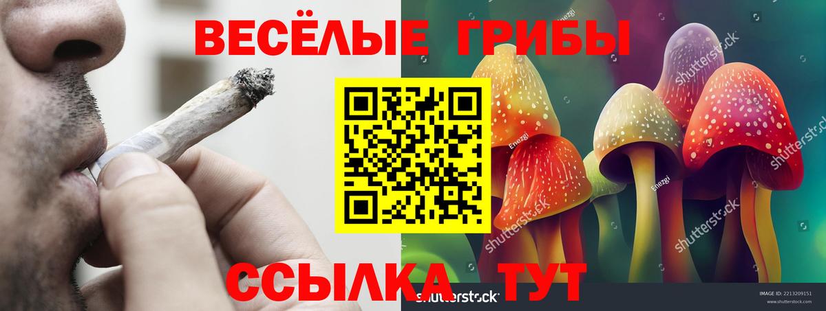 наркотики  Галлюциногенные грибы Psilocybe  Сатка  Вход с VPN  Галлюциногенные грибы прущие грибы 